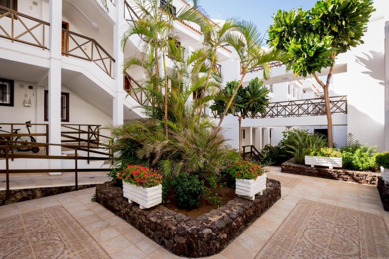 Go2Tenerife Apart'Pesca Rooftop Santiago 1 Плая-де-лас-Америкас Экстерьер фото